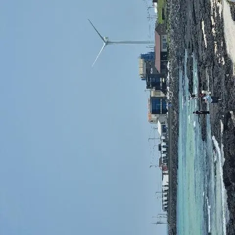 월정리해변 리뷰사진3