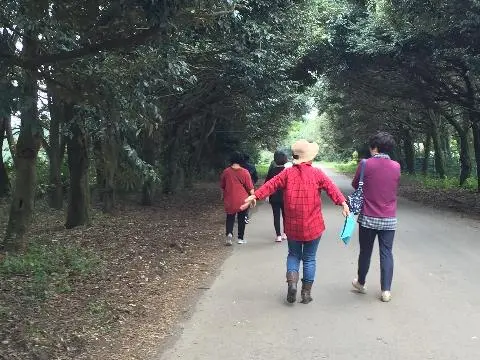 친환경 제주여행 인증 이벤트! 지속가능한 제주여행 함께해요