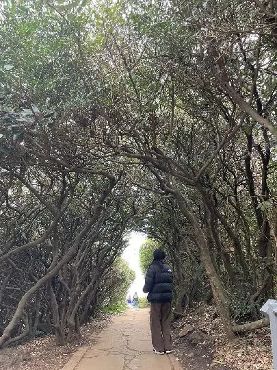 큰엉해안경승지