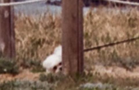 협재섬바다 리뷰사진2