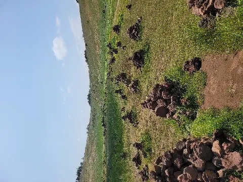 패러글라이딩 명소 <금오름> 탐방