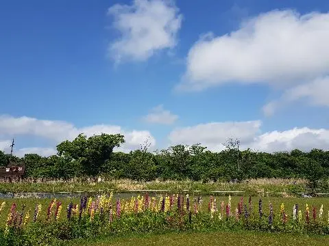 

에코랜드에서 자연 만끽하며 힐링받기~~