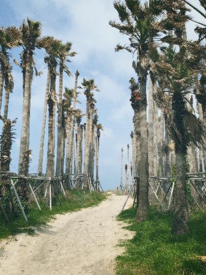 협재섬바다 리뷰사진4