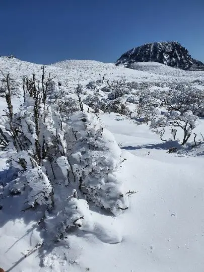 윗세오름(웃세오름)