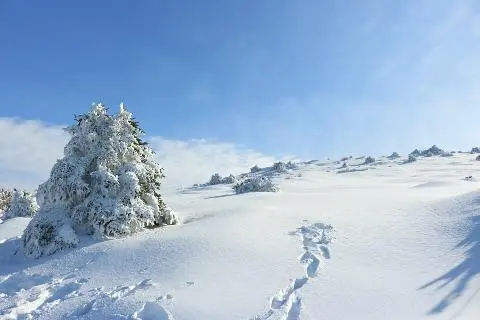 한라산어리목코스