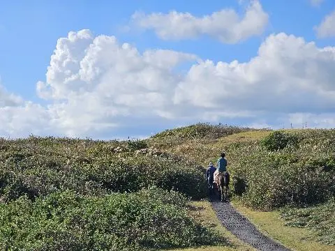 섭지코지 리뷰사진3