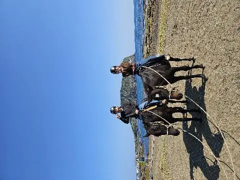 성산일출봉을 뒷배경에 두고 바다에서 정말 해보고 싶었던 바다승마를 해서 좋았어요 ^^