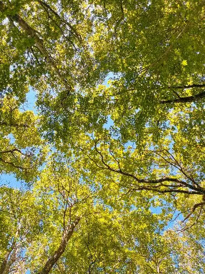 친환경 제주여행 인증 이벤트! 지속가능한 제주여행 함께해요