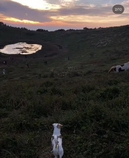 금악오름(왕매) 리뷰사진2