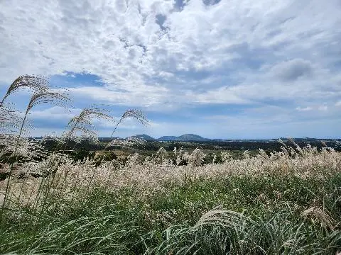 친환경 제주여행 인증 이벤트! 지속가능한 제주여행 함께해요