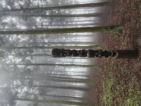 제주절물자연휴양림 리뷰사진3