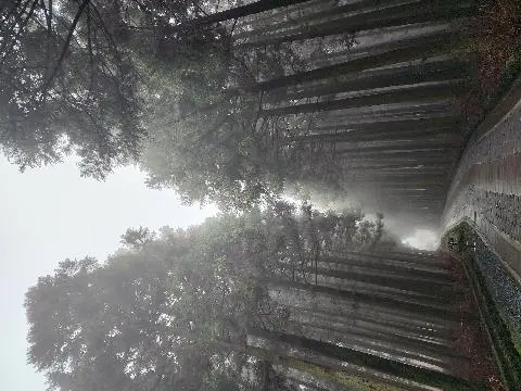 제주절물자연휴양림 리뷰사진2