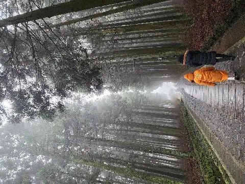 제주절물자연휴양림 리뷰사진4