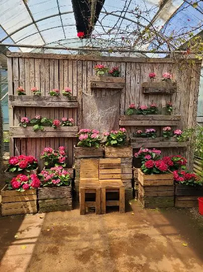 보롬왓 리뷰사진5