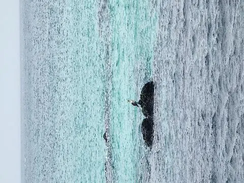 애월한담해안산책로