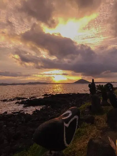 우도산호해변 홍조단괴 서빈백사
