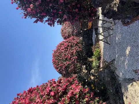 동백포레스트 리뷰사진3