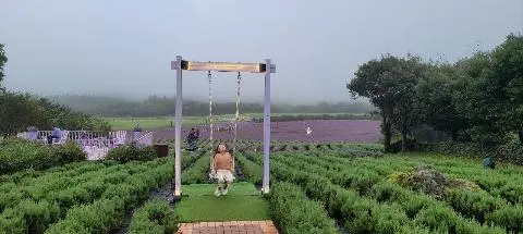 할머니, 할아버지 그리고 예쁜 어린 삼남매와 함께 떠난 3대 가족여행! 
기차를 좋아하는 아이들의 맞춤 여행지인 에코랜드에서 할머니와 할아버지와 함께한 삼남매는 아주 특별한 날을 보냈었답니다~ 아침에 일어나서부터 기대감으로 가득 찼는데, 에코랜드에서의 하루가 얼마나 특별할지 상상할 수 없었지요!!^^

에코랜드 내를 이동해주는 열차 안에서 푸르른 풍경을 바라보면서 할아버지가 자연에 대한 이야기를 해주시고 할머니 품에 안긴 아이들도 창밖을 내다보며 신기한 동물들과 자연물을 찾아보며 신나게 놀고 즐길 수 있는 행복한 시간을 선물 받았고~
자연 속을 걸으며 새로운 생명도 발견을 하고, 엄마,아빠, 할머니, 할아버지와 뛰놀며 함께 멋진 인생사진을 찍는 등 즐거운 시간을 보냈답니다.

선물같았던 제주 여행 중 에코랜드에서의 하루는 정말 특별하고 행복한 추억으로 가득 남았네요. 할머니와 할아버지와 함께한 이 특별한 여행은 우리 삼남매에게 오래도록 기억될 것 같아요..♡