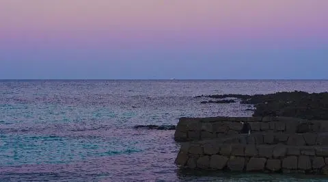 세화해변 리뷰사진3