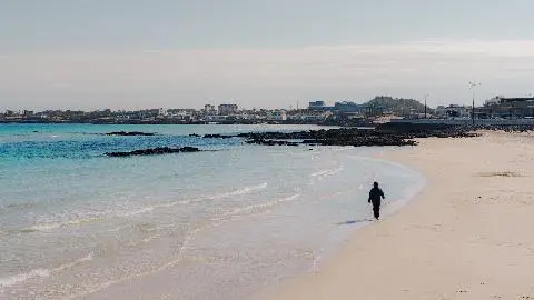 세화해변 리뷰사진4