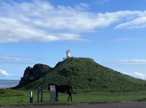 섭지코지 리뷰사진2