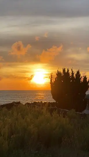 협재해수욕장 리뷰사진5