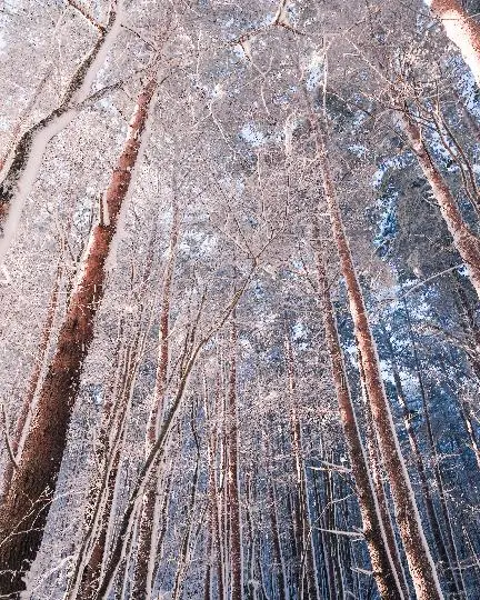 한라산국립공원