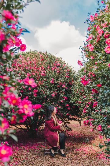 제주 동백꽃을 보러 동백수목원에 다녀왔어요.
꽃나무 속에서 달콤한 냄새와 따뜻함에 마음이 한결 가벼워지는 하루였어요.