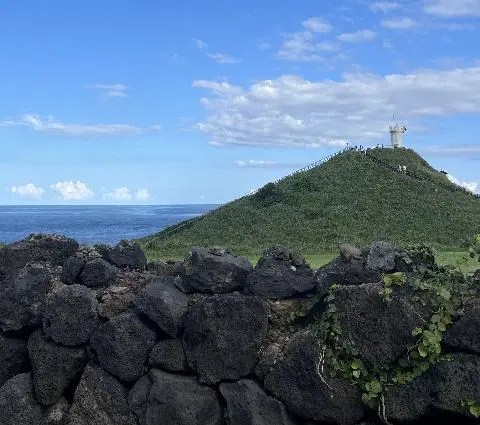 탁 트인 바다, 자유롭게 다니는 말, 안도타다오 건축물 등 볼거리도 많고 산책하기에도 넘 좋은 곳! 