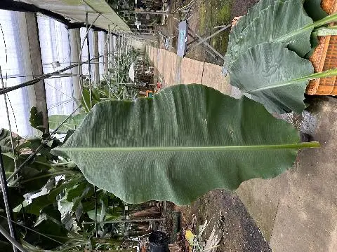 친환경 제주여행 인증 이벤트! 지속가능한 제주여행 함께해요