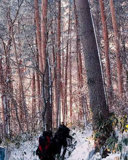 한라산국립공원