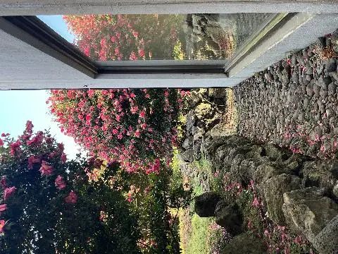 동백포레스트 리뷰사진4