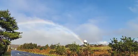 오설록티뮤지엄