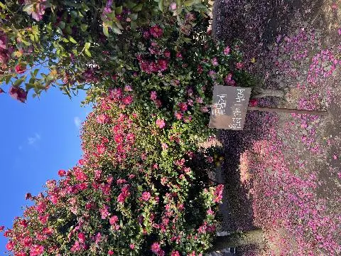 동백포레스트 리뷰사진5