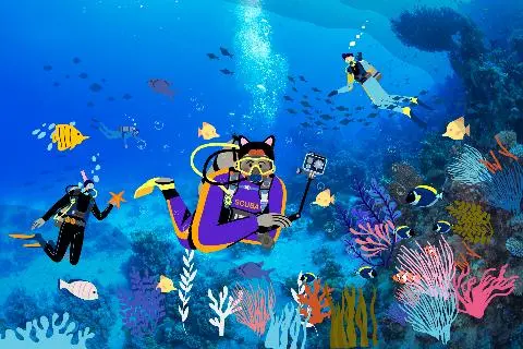 Activities by Regions_ Seogwipo City 대표이미지