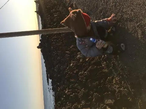 친환경 제주여행 인증 이벤트! 지속가능한 제주여행 함께해요