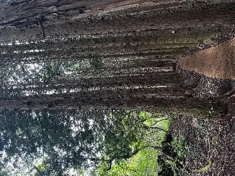 친환경 제주여행 인증 이벤트! 지속가능한 제주여행 함께해요