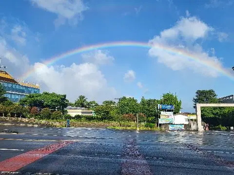 친환경 제주여행 인증 이벤트! 지속가능한 제주여행 함께해요