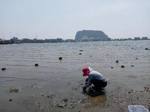 친환경 제주여행 인증 이벤트! 지속가능한 제주여행 함께해요