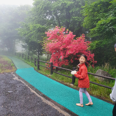 친환경 제주여행 인증 이벤트! 지속가능한 제주여행 함께해요 리뷰사진4