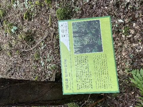 친환경 제주여행 인증 이벤트! 지속가능한 제주여행 함께해요