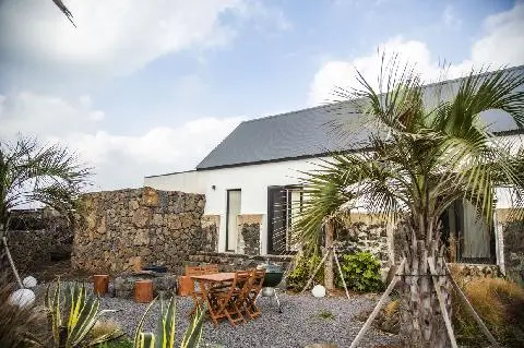 주말에는 현생과 로그아웃, 제주로 로그인!  <5도 2촌의 꿈> 대표이미지