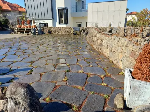 나미송 머무는 곳