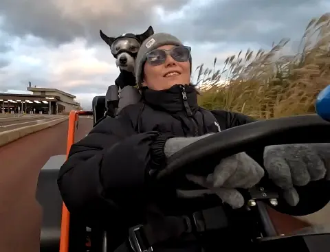 981 댕댕이 레이싱! 대표이미지