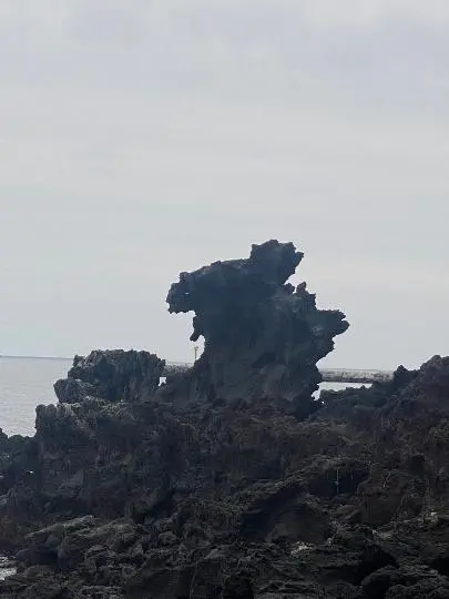 <보물찾기 in Jeju> 제주의 숨은 보물을 찾아용