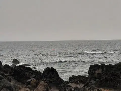 청보리가 무르익어 갈 때면 <가파도 올레길 10-1코스> 