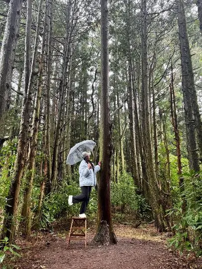 웰컴투 삼달리가 끝나자마자 삼달리 촬영지를 꼭 가고싶어서 무작정 렌트카 24시간과 숙소 예약도 하지 않은 채 혼자 제주 1박 2일 여행을 떠났다. 오직 촬영지만 가보자 하고 말이다. 하필 비가 무척 많이 오던날, 편의점에서 투명우산 하나 사고 안돌오름 비밀의 숲으로 향했다. 새 운동화였는데 진흙밭이었다. 신발커버 하나 사고 삼각대를 펼쳐 열심히 인증샷을 찍었다. 웬걸, 사진이 너무 예뻤고 비가 와서 더 예뻤다. 내가 사진을 찍는 모습을 마치 신혜선님과 지창욱님이 바라보고 있는 듯 했다.