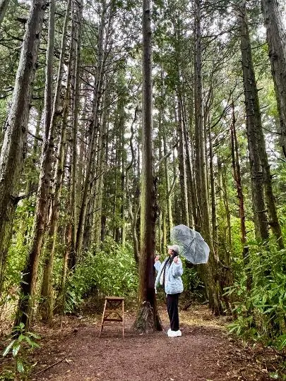 안돌오름 리뷰사진2