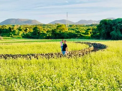 드라마 속 제주를 찾는 여정, <웰컴투 삼달리> 따라 여행하기
