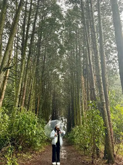 안돌오름 리뷰사진3